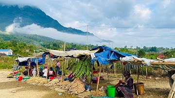 Chợ Cóc Tam Đường LAI CHÂU Bán Toàn Dược Liệu Quý Trên Rừng | Miền núi tây bắc