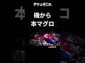 【伝説】磯から巨大クロマグロを仕留める瞬間