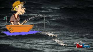 Seamolec - Whiteboard Compeion Biology