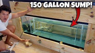 I Built A 150 Gallon Sump For My MONSTER FISH!
