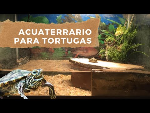 Como hacer un ACUATERRARIO para TORTUGAS