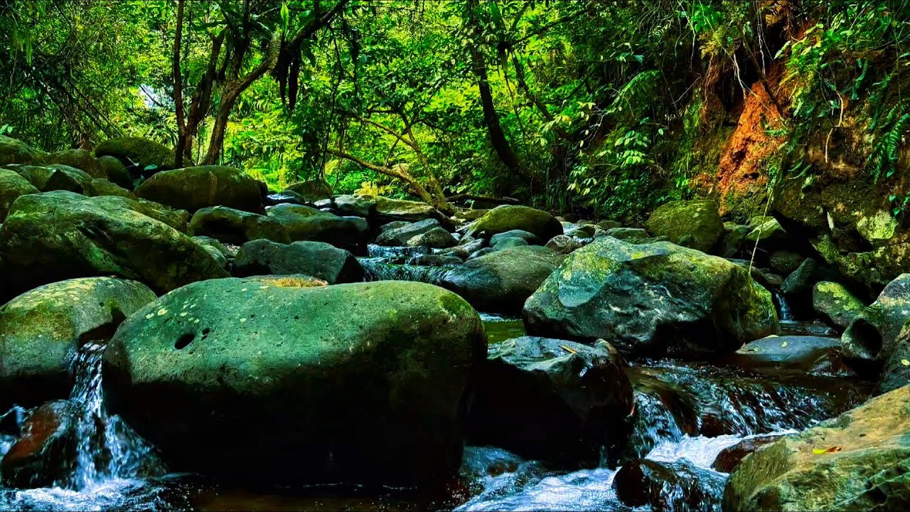 Healing Water Sounds: Relaxing River Ambience for Meditation, Yoga, and Spiritual Peace