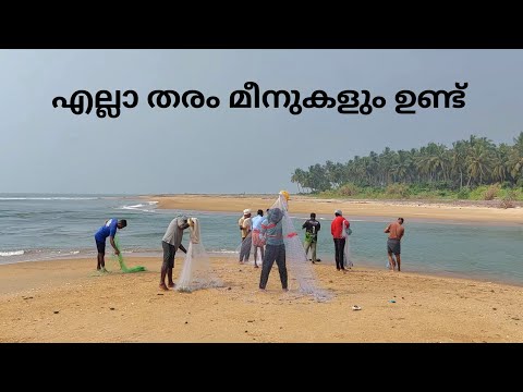 എല്ലാ തരം മീനുകളും ഉണ്ട് | fishing | sea fishing | fisherman | casting | fish | 17.11.25