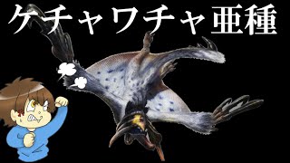 【MH4G】はじめ、ケチャワチャ亜種をぶったおす
