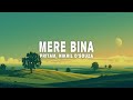 Pritam & Nikhil D'Souza - Mere Bina Lyrics 🎶