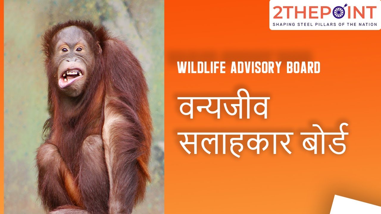  Wildlife Advisory Board Overview Explained In Hindi Current Affairs 2021 2THEPOINT UPSC 