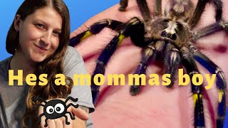 My P Metallica Does Not Like My Husband..