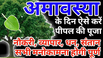 अमावस्या के दिन पीपल की पूजा कैसे करें | अमावस्या के उपाय | पीपल की पूजा कैसे करें | Peepal ke upay