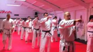 Firstdojo Traditional Karate Advert