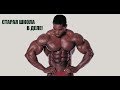 СТАРАЯ ШКОЛА В ДЕЛЕ FLEX WHEELER &quot;Флекс Уиллер&quot;