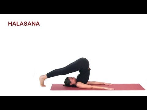 halasana