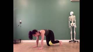 Bear hip shifts