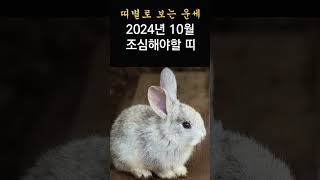 띠별운세! 2024년 10월 조심해야할 띠 3가지!