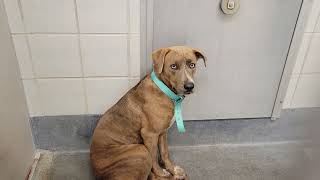 acs A690103