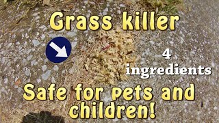 Safe Homemade Grass and Weed Killer With 4 Household Ingredients - Episode 76