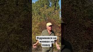 ЗАЖИГАЮ НА ТАНЦ ПОЛІ