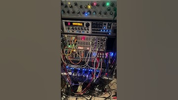 Eurorack through Guitar FX with SDRUM and Filterbank2