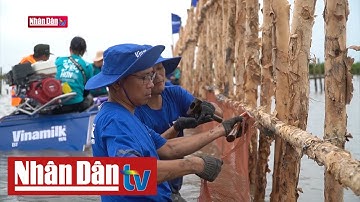 Đồng hành cùng chính phủ hướng tới Net Zero 2050 | Tâm điểm