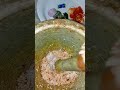 වට්ටක්කා වෑංජනය,,,සම්බෝල තෙම්පරාදුව#cookingrecipes #virel #cooking #coking #