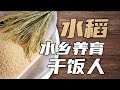 稻米 Mp3 Mp4 Free download