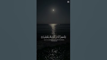 القارئ عبدالرحمن مسعد ♥️