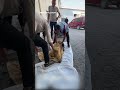 Израильский авиаудар в Газе унес жизни пятерых палестинцев, в том числе детей