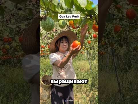 Поедание самого странного фрукта Китая 😱 #youtubeshorts #shortvideo