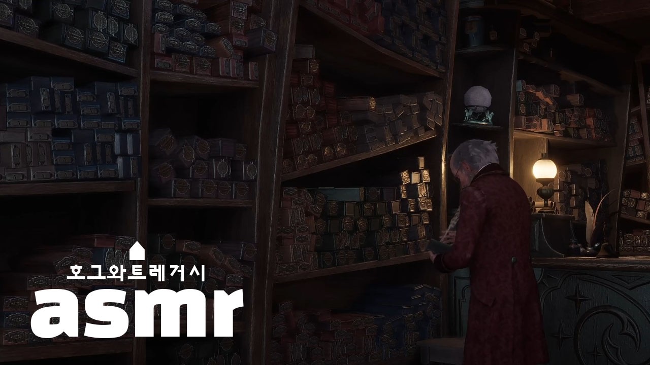 [해리포터 asmr] 당신의 마법지팡이를 찾아보세요 | 올리벤더스 6시간