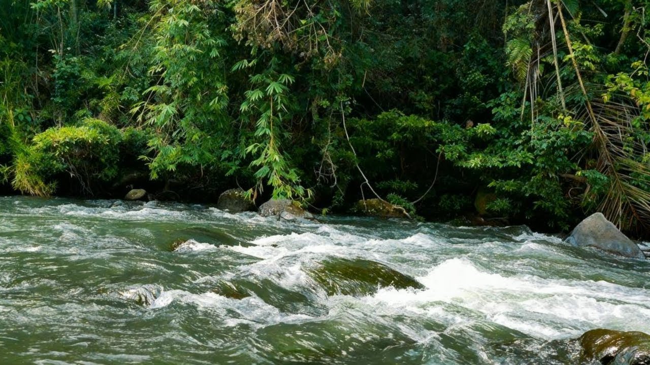 RELAXING WATER SOUNDS FOR ANXIETY RELIEF