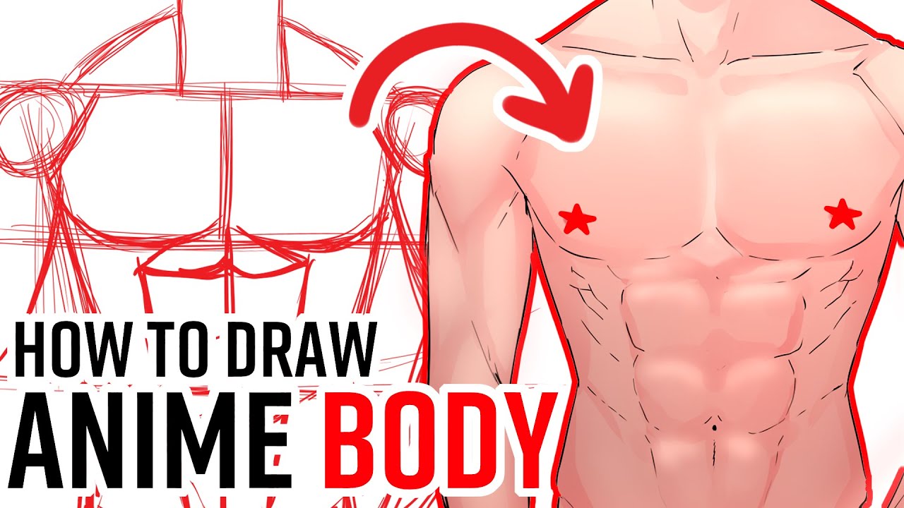 How to Draw Anime Muscular Male Body Step by Step  AnimeOutline