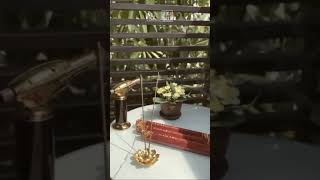 Download Lagu sholawatan lagi yuk 😇 #gaharu #agarwood #youtubeshorts #shorts #story #fypシ #sholawat MP3