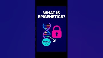 Epigenetics: The Switches That Control Your Genes #EpigeneticsExplained #GeneSwitches #NEETPrep #DNA
