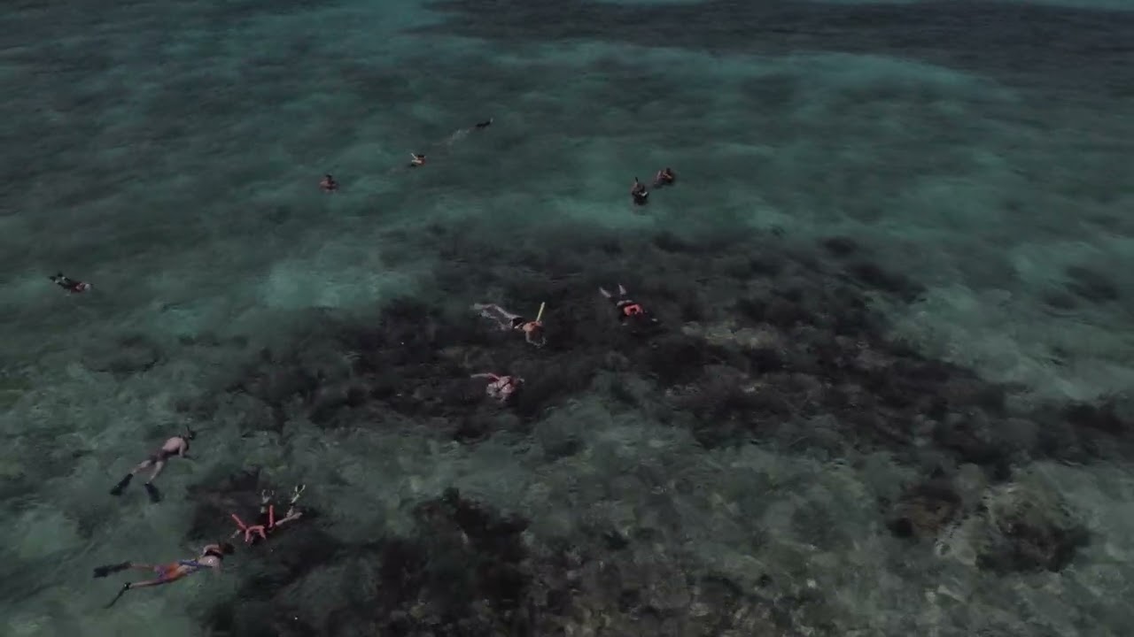 Snorkeling Christ of the abyss Key Largo FL