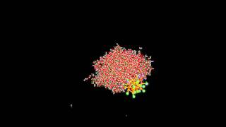 Molecular dynamics simulation of a solvated folded hydrophobic polymer chain