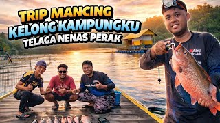 1 Trip Mancing Di Rumah Rakitkelong Kdanungku Telaga Nenas Perak tahan Koyan Dan Mancing siakap 
