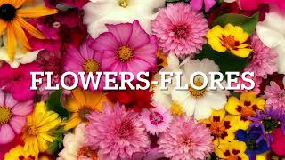 Details Say it 2 ways-Spanish (Flowers) News