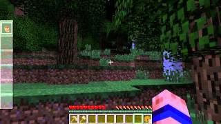 Minecraft Pixelmon: ep-1 Gotta Catch em all!!