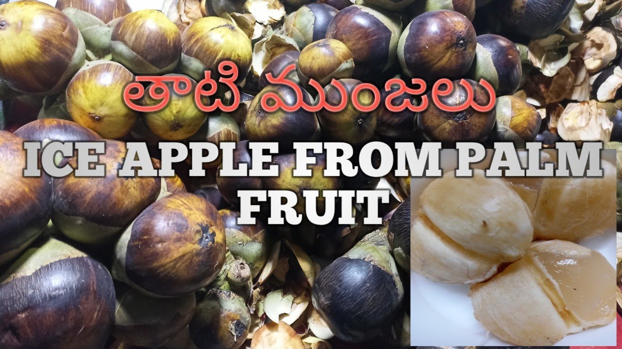ice apple from palm fruit| ice apple benefits