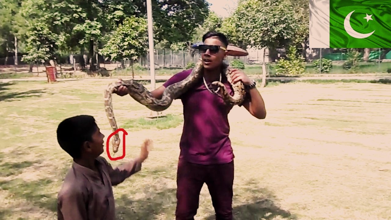 Exploring islamabad Part 3 I Held A Massive Snake In The Islamabad