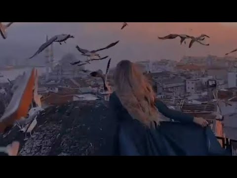 كل يوم اقول اليوم رأفت القنطار