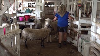 Providing a safe haven in memory of farmer in Wayne County