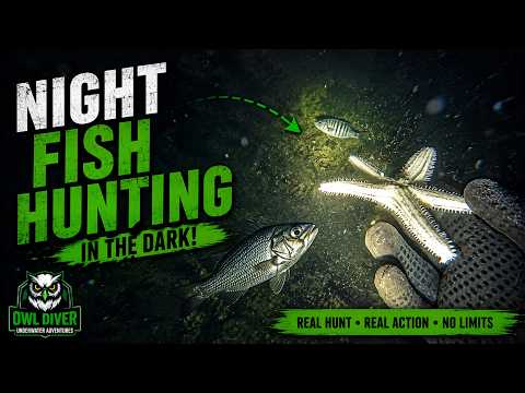 Night Fish Hunting in the Dark | What Did I Find Underwater?