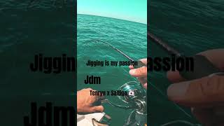 Jigging in meditteranean #mancing #hellas #Japan #tackle #jigging #ψάρεμα #daiwa #saltiga # #fish