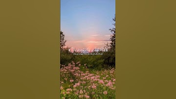 تلاوه من سورة فاطر|بصوت القارئ ابراهيم محمد🎧✨ #quran #trending #قرآن #راحة_نفسية #قران_كريم
