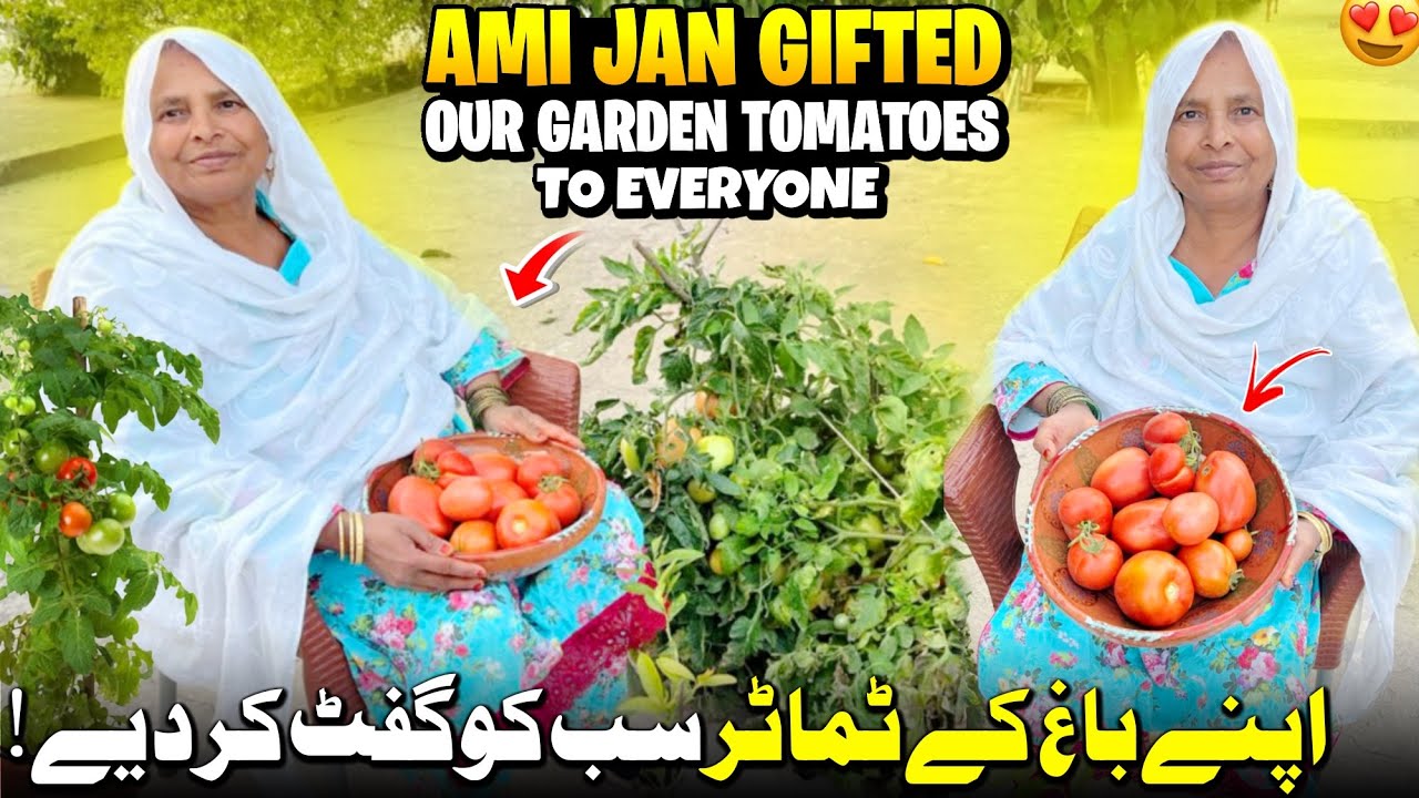 Apnya Baag Ka Tamater Sab Ko Gift  Kr Diya 🥰 || Ramadan Ma 💕 || 