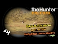 theHunter Call of the Wild #4 Идеальное место для охоты (медведь,лось,кайот)