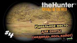 theHunter Call of the Wild #4 Идеальное место для охоты (медведь,лось,кайот)