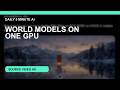 NVIDIA Just Put a World Model on One GPU