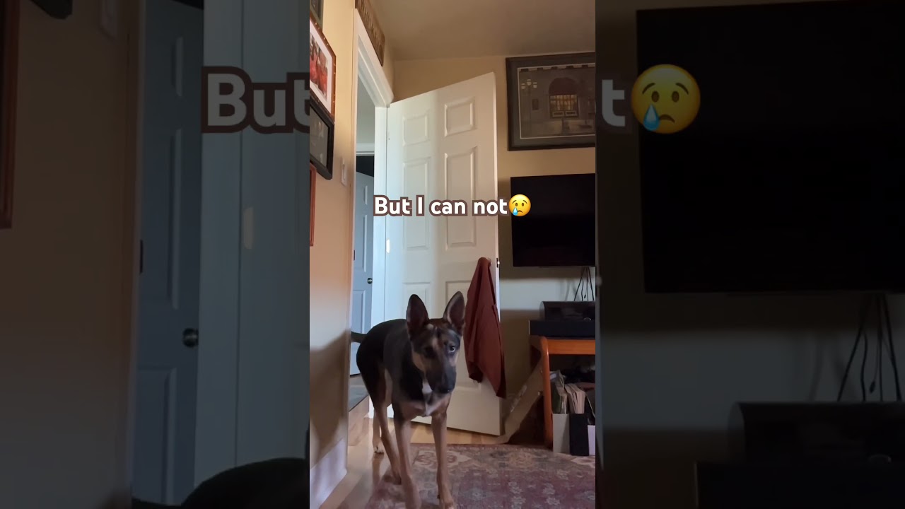 Виртуальные объятия 🤗 