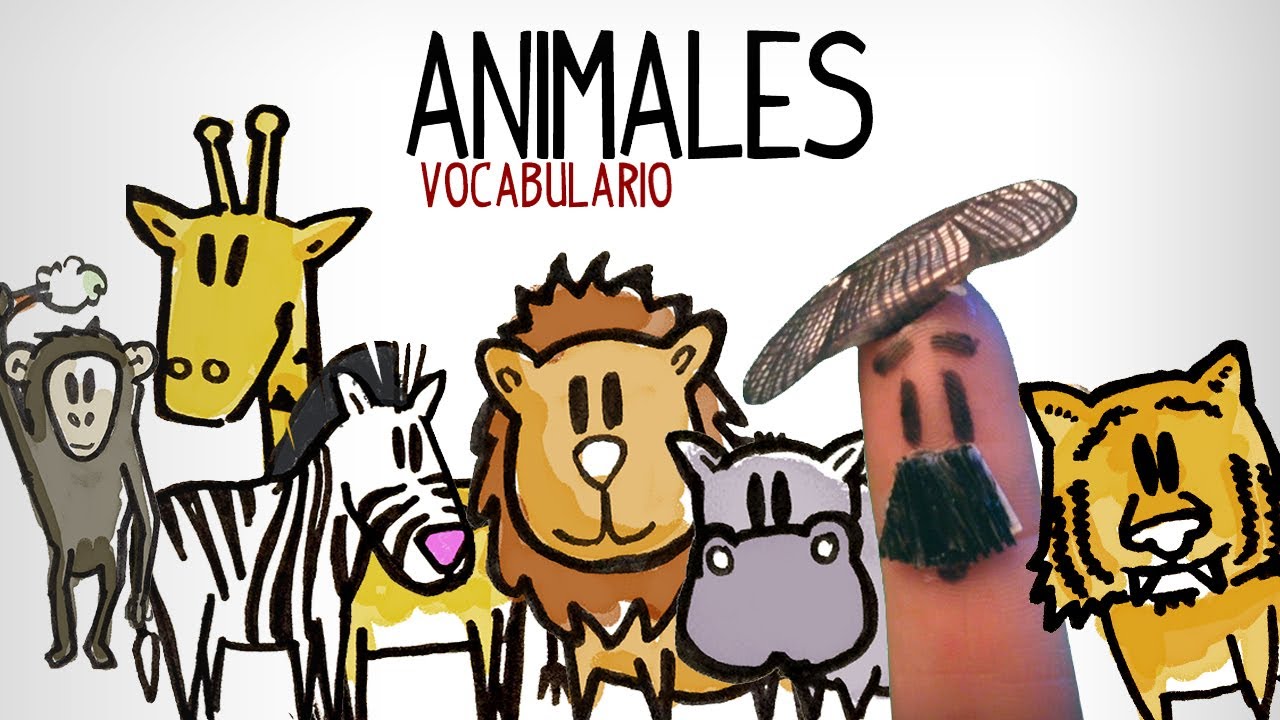 Le vocabulaire des animaux en espagnol, apprendre l